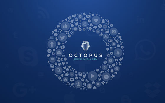 how-to-get-the-best-ai-octopus