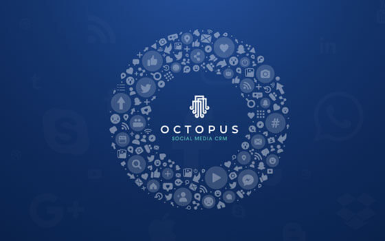 how-to-get-the-best-ai-octopus